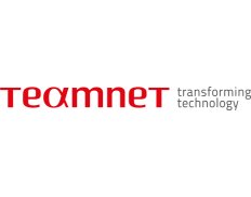 S.C.TEAMNET WORLD PROFESSIONAL SERVICES S.R.L.
