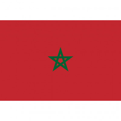 Secrétariat d’Etat Chargé de la Famille, de l’Enfance et des Personnes Handicapées (Morocco)