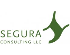 SEGURA Consulting LLC