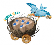 SERVE NEST PVT LTD