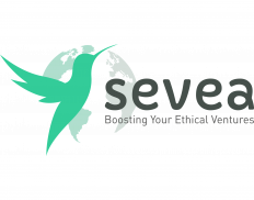 Sevea Consulting
