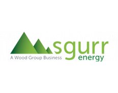 SgurrEnergy India Ltd