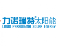 Shandong Linuo Paradigma Co. L