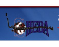 Sheba Co. for General Trading and Contracting