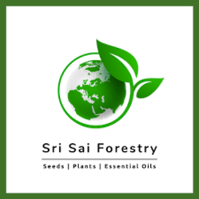 Shree Sai Seeds