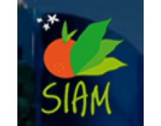 SIAM