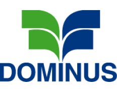 S.I.C.I. DOMINUS - Servicios Integrales de Contratacion e Intermediacion Dominus