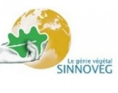 Sinnoveg Sarl