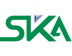 SKA Energy