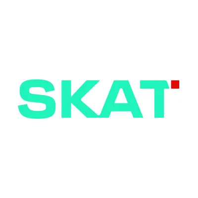 Skat Consulting Ltd.
