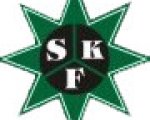 S.K.F. LLC - Health Committees Forum