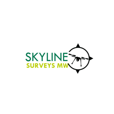 Skyline Surveys
