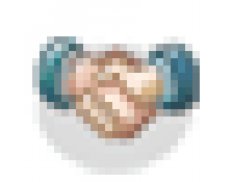 Slamcilia Foundation