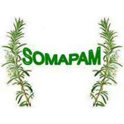 SOMAPAM - Moroccan Society of Aromatic and Medicinal Plants / Société Marocaine des Plantes Aromatiques et Médicinales
