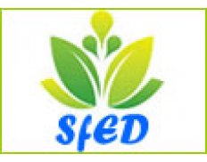 Solutions for Effective Development