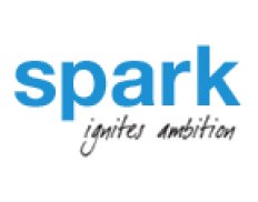 SPARK Foundation