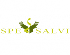 Spe Salvi Foundation