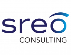 SREO Consulting (Iraq)