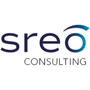 SREO Consulting LTD