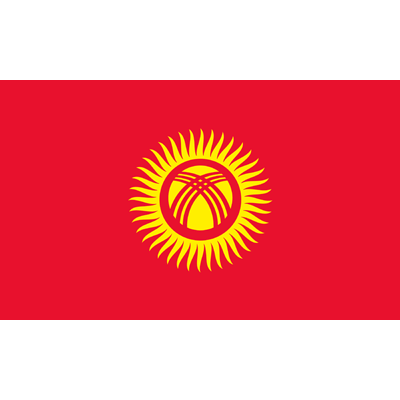 State Tax Service under the Government of the Kyrgyz Republic