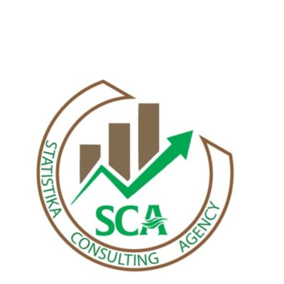Statistika Consulting Agency