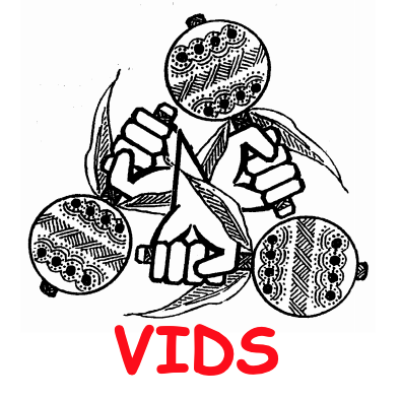 Association of Indigenous Village Leaders (VIDS)