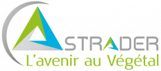 Strader S.A.S