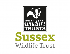 Sussex Wildlife Trust