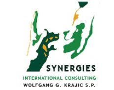 Synergies International Consul
