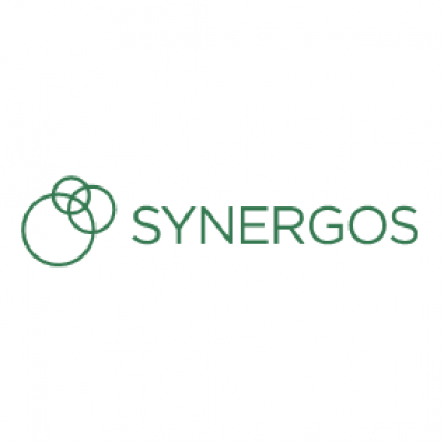 Synergos Development Innovations (Nigeria)
