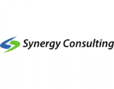 ☑️Synergy Consulting Infrastructure and Financial Advisory Services Inc ...
