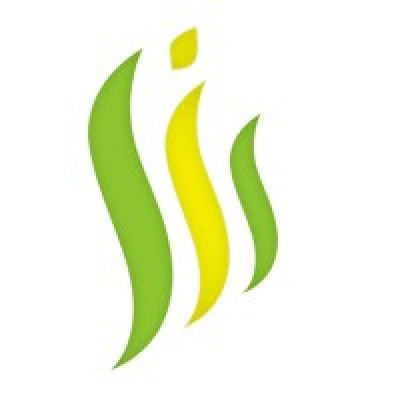 Synergy Information Systems (P