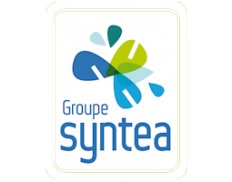 Syntea