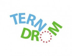 Terno Drom e.V.