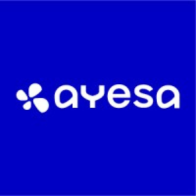 Ayesa Ltd (former Terra Consul