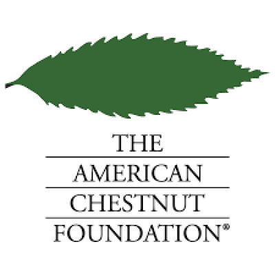 The American Chestnut Foundati