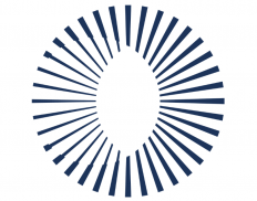 The Association of Commonwealth Universities