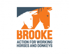 Brooke Hospital for Animals