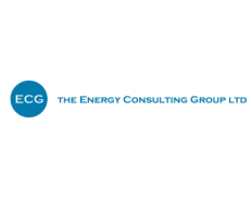The Energy Consulting Group Lt