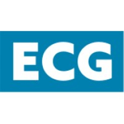 The Energy Consulting Group Ltd