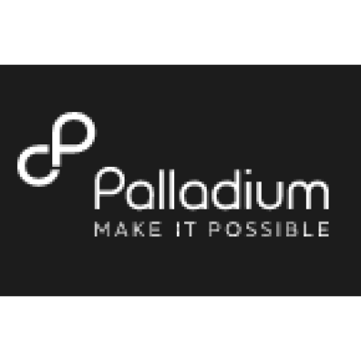 The Palladium Group
