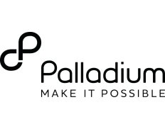 The Palladium Group - USA's Logo