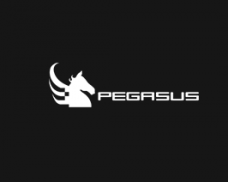 The Pegasus Group Company S.A.