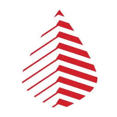 The Public‑Private Partnership