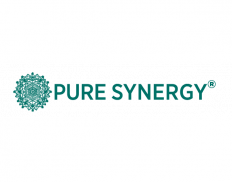 synergy company synergy company