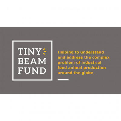The Tiny Beam Fund
