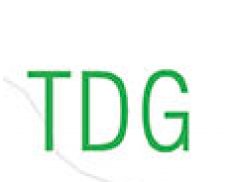 Thompson Design Group Inc