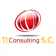 TI Consulting SC