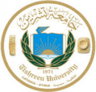 Tishreen University