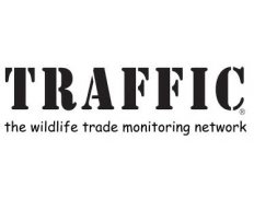 TRAFFIC International